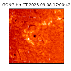 gong - 2026-09-08T17:00:42