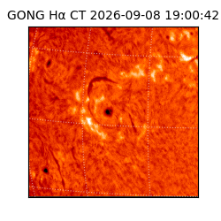 gong - 2026-09-08T19:00:42