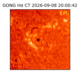 gong - 2026-09-08T20:00:42