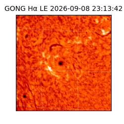 gong - 2026-09-08T23:13:42