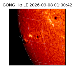 gong - 2026-09-08T01:00:42