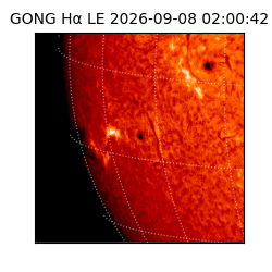 gong - 2026-09-08T02:00:42