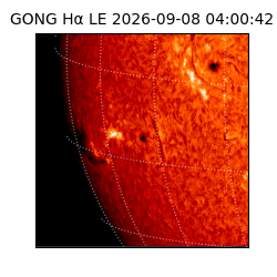 gong - 2026-09-08T04:00:42