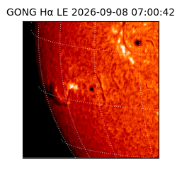 gong - 2026-09-08T07:00:42