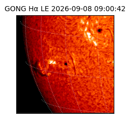 gong - 2026-09-08T09:00:42