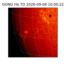 gong - 2026-09-08T10:00:22