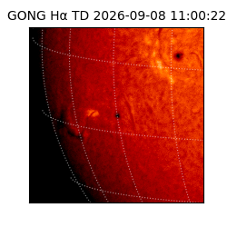 gong - 2026-09-08T11:00:22