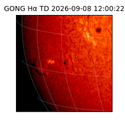 gong - 2026-09-08T12:00:22