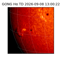 gong - 2026-09-08T13:00:22