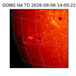 gong - 2026-09-08T14:00:22