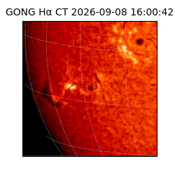 gong - 2026-09-08T16:00:42