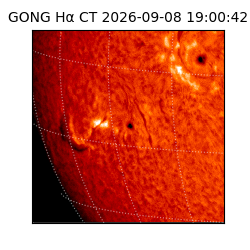 gong - 2026-09-08T19:00:42