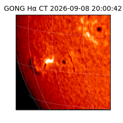 gong - 2026-09-08T20:00:42