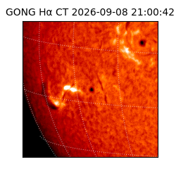 gong - 2026-09-08T21:00:42