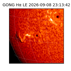 gong - 2026-09-08T23:13:42