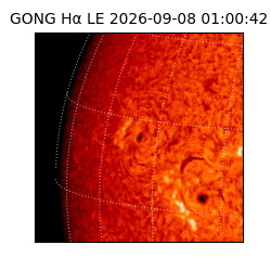 gong - 2026-09-08T01:00:42