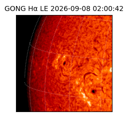 gong - 2026-09-08T02:00:42