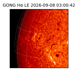 gong - 2026-09-08T03:00:42