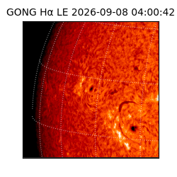 gong - 2026-09-08T04:00:42