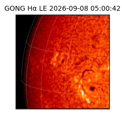 gong - 2026-09-08T05:00:42