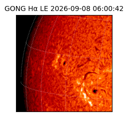 gong - 2026-09-08T06:00:42