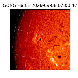gong - 2026-09-08T07:00:42