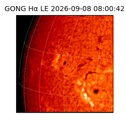 gong - 2026-09-08T08:00:42