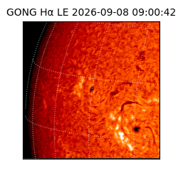 gong - 2026-09-08T09:00:42