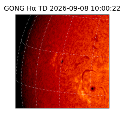 gong - 2026-09-08T10:00:22