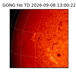 gong - 2026-09-08T13:00:22