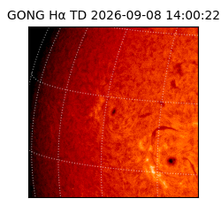 gong - 2026-09-08T14:00:22