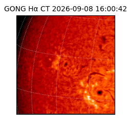 gong - 2026-09-08T16:00:42