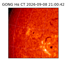 gong - 2026-09-08T21:00:42