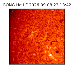 gong - 2026-09-08T23:13:42