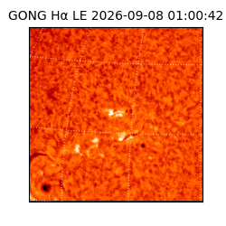 gong - 2026-09-08T01:00:42