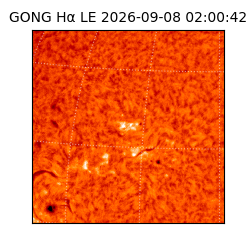 gong - 2026-09-08T02:00:42