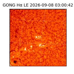 gong - 2026-09-08T03:00:42