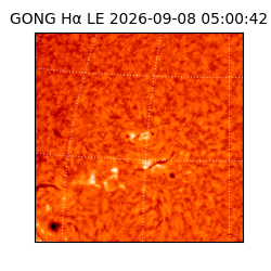 gong - 2026-09-08T05:00:42