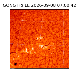 gong - 2026-09-08T07:00:42