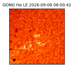 gong - 2026-09-08T08:00:42