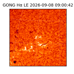 gong - 2026-09-08T09:00:42