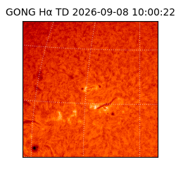 gong - 2026-09-08T10:00:22