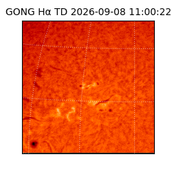 gong - 2026-09-08T11:00:22