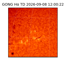 gong - 2026-09-08T12:00:22
