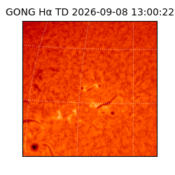 gong - 2026-09-08T13:00:22