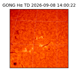 gong - 2026-09-08T14:00:22