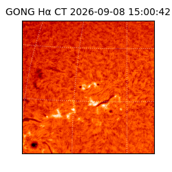 gong - 2026-09-08T15:00:42