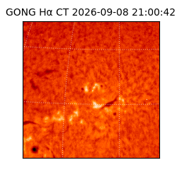 gong - 2026-09-08T21:00:42