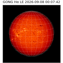 gong - 2026-09-08T00:07:42