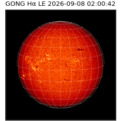 gong - 2026-09-08T02:00:42